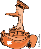 canard